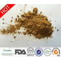 100% natürliche Qualität Tribulus Terrestris Extrakt Pulver Saponine 40% Protodioscin 20%